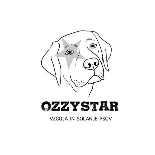 OZZYSTAR