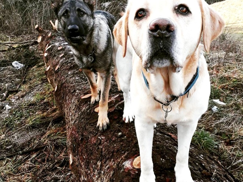 PRVIH 30 DNI Z&nbsp;MLADIČKOM