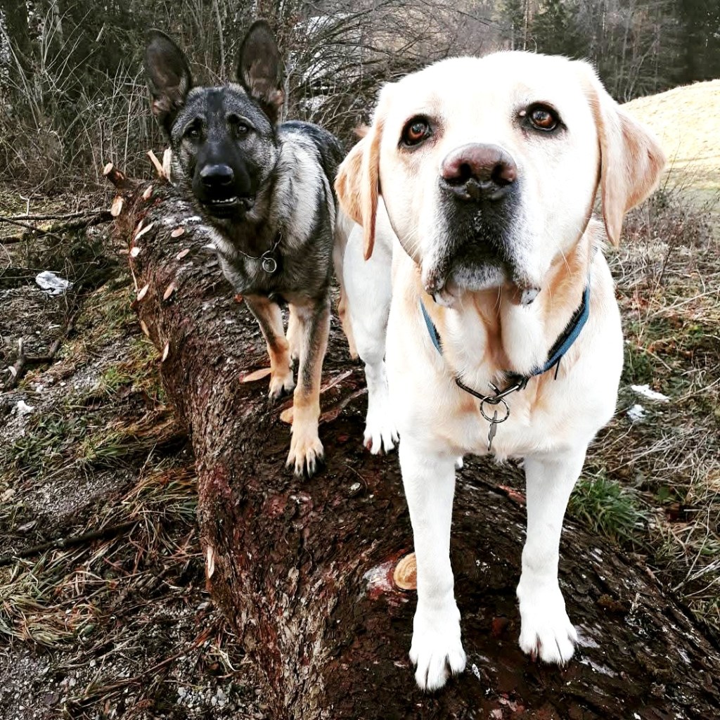 PRVIH 30 DNI Z&nbsp;MLADIČKOM